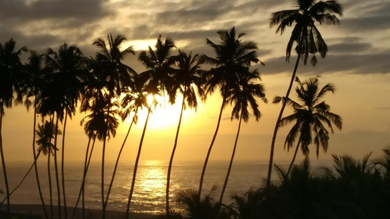 Afiki Hotel Elmina Екстериор снимка